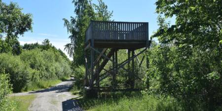 Paljassaare linnuvaatlustorn