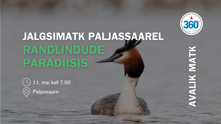 jalgsimatk paljassaarde rändlindude paradiisi