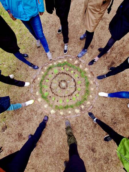 Meeskonnatöö matk paralepa metsarajal