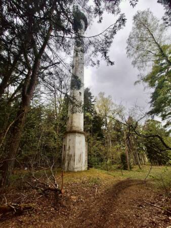 Meeskonnatöö matk paralepa metsarajal