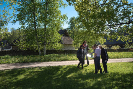 Eesti mäng meeskonnaga