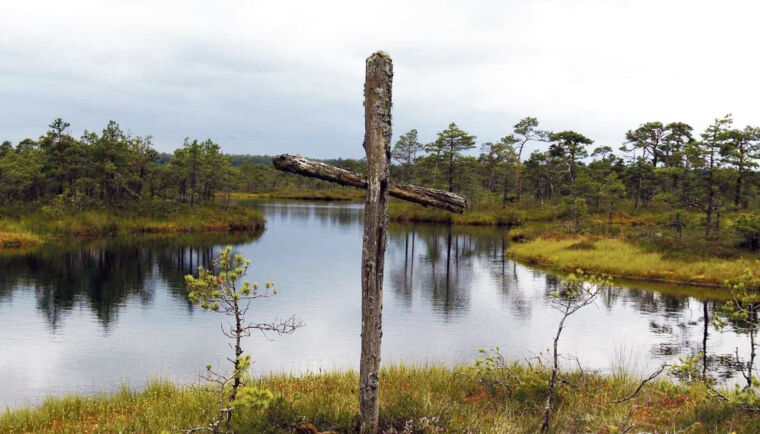 Räätsamatk kakerdaja rabas