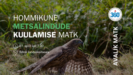 360 kraadi avalik metsalindude kuulamise matk sõrve poolsaarel