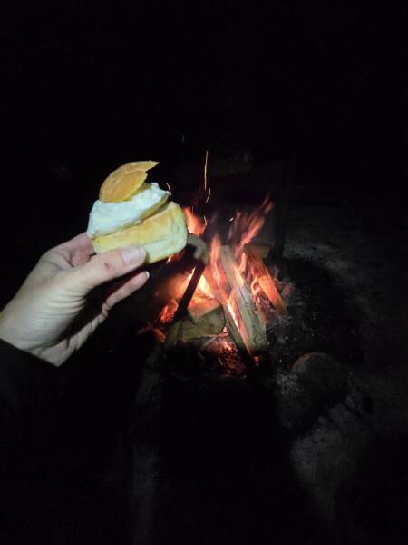 vastlakukkel öises rabas