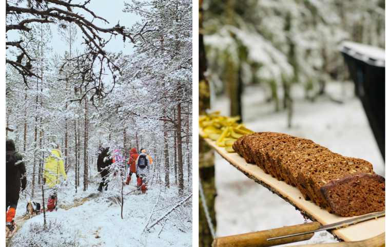 räätsamatk toitlustusega